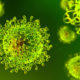 Coronavirus Suggestions